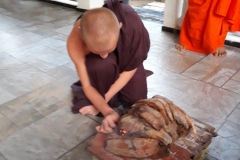 IMG-20190121-WA0011