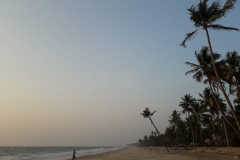 IMG-20190111-WA0013